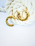 Boucles d'oreilles crochets en acier inoxydable, stylé, tendance, et lumineuses.